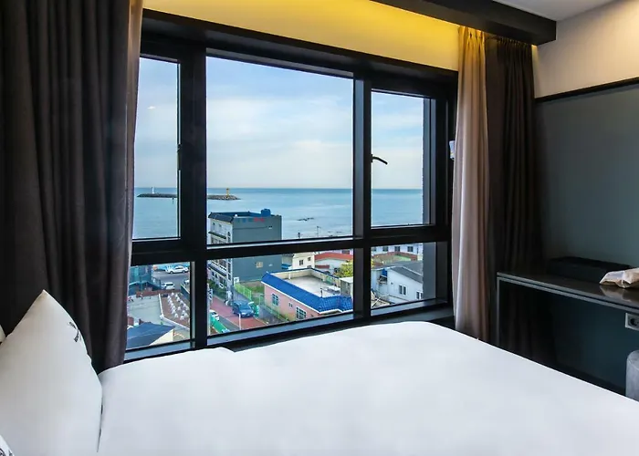 Brown Dot Gijang Yeonhwari Busan